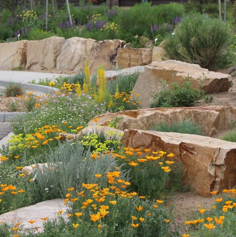 Native Plants Demonstration Garden - High Plains Environmental Center